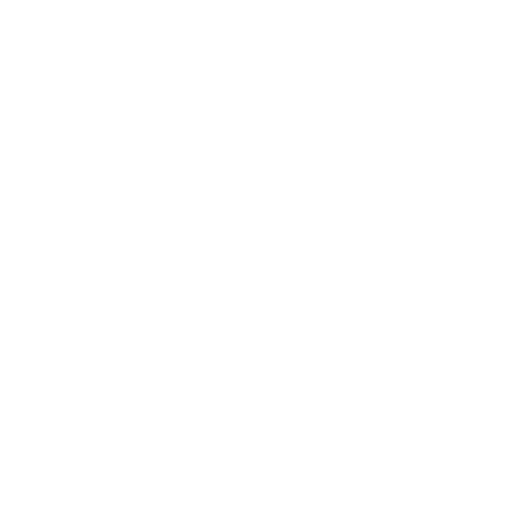 Icon - location - white